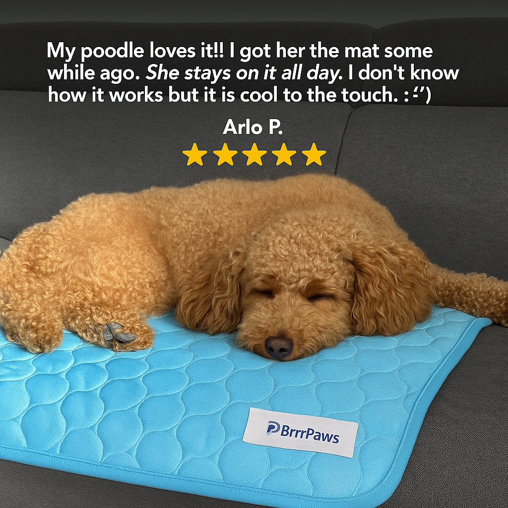 BrrrPaws™ | Self Cooling Dog Mat