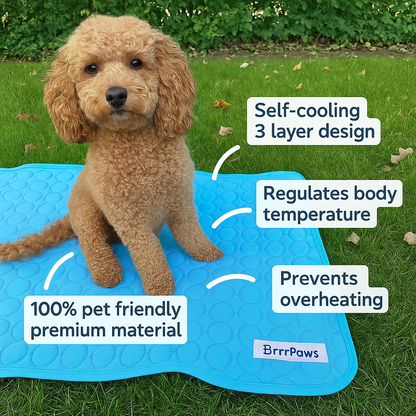 BrrrPaws™ | Self Cooling Dog Mat