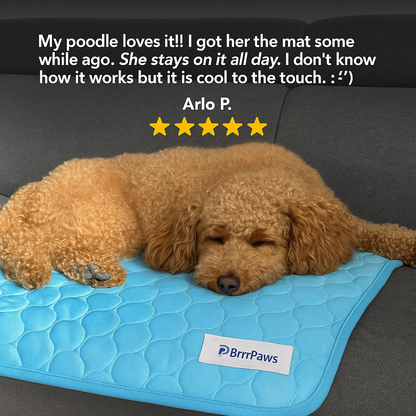 BrrrPaws™ | Self Cooling Dog Mat